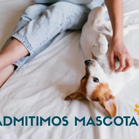 Almendros 3000 * 오로페사델마르